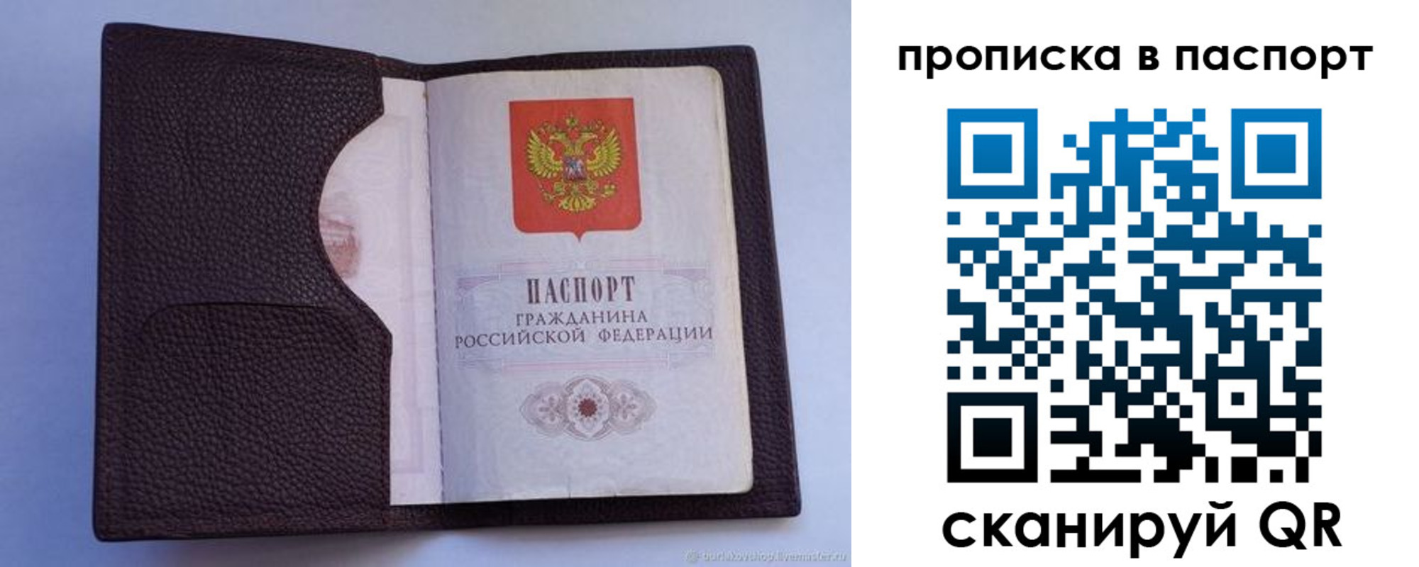 прописка законно в Бердске